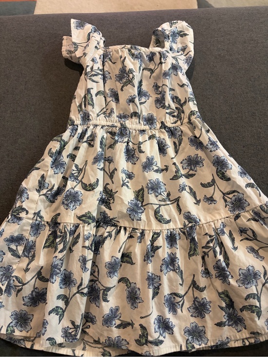 Crewcuts Other - Crewcuts White Cotton Dress with Blue Floral Print